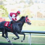 News – Novembre 2022